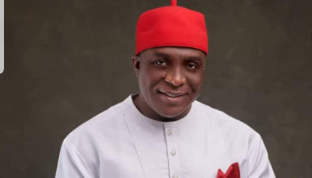 Okonkwo seeks development of afrocentric democratic culture - 365Daily